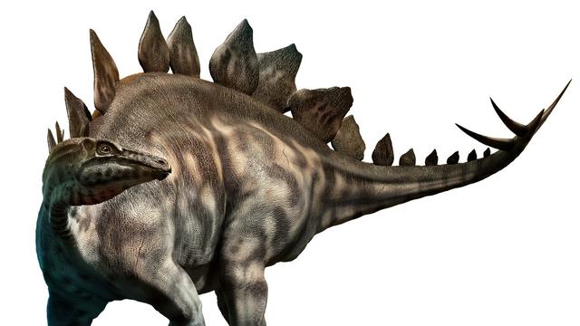 Detail Macam Dinosaurus Dan Namanya Nomer 18