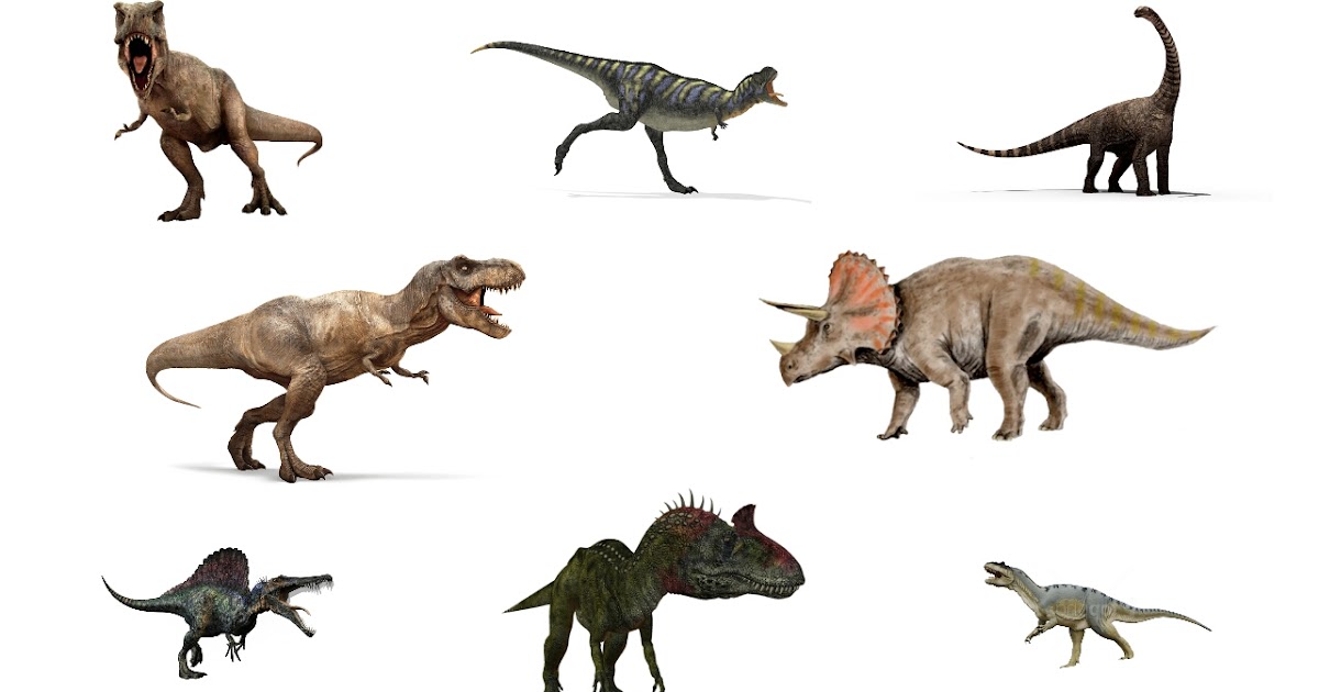 Detail Macam Dinosaurus Dan Namanya Nomer 37