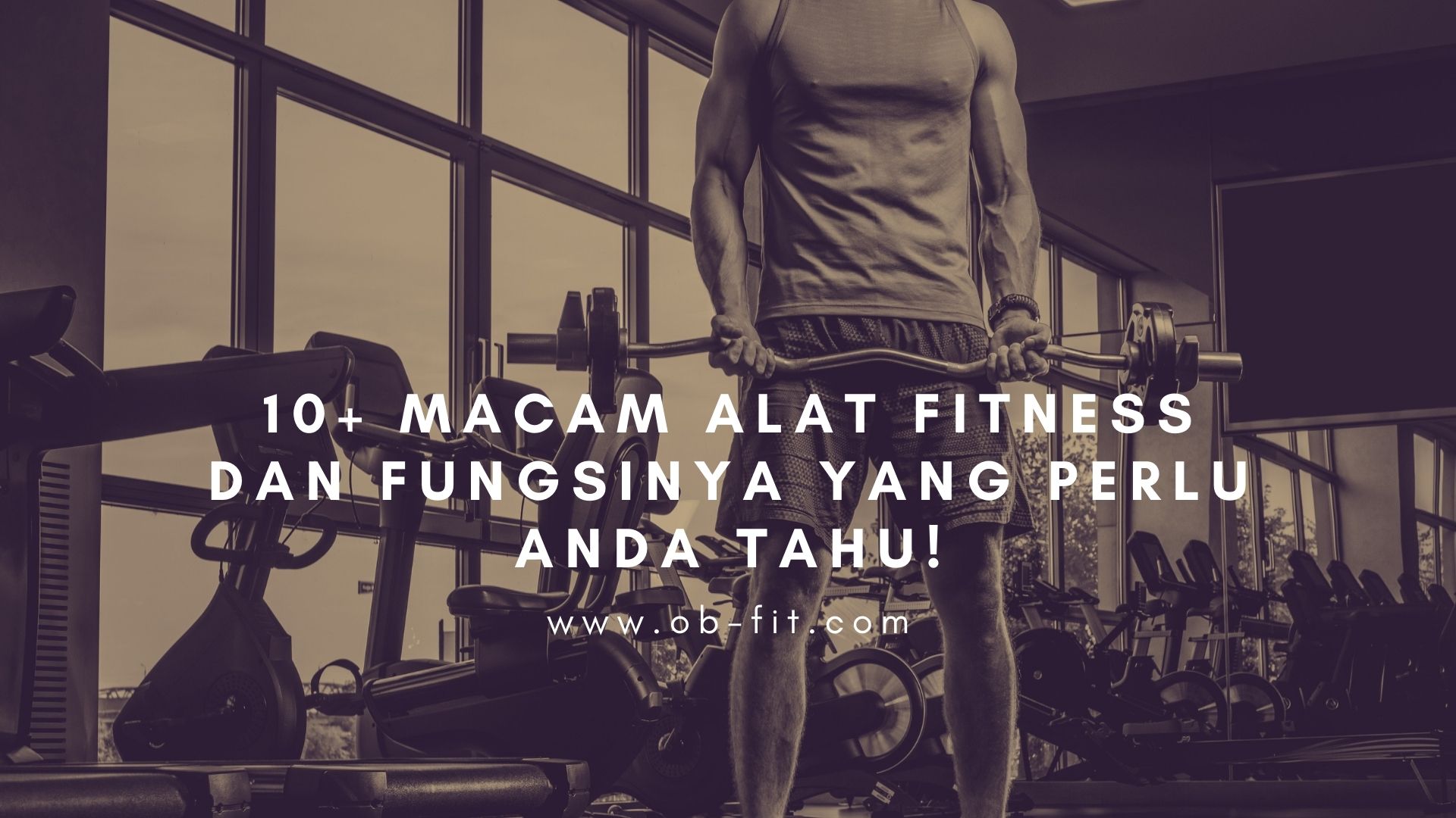 Detail Macam Macam Alat Fitnes Dan Gambarnya Nomer 23