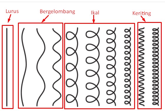 Detail Macam Macam Bentuk Kepala Manusia Nomer 36