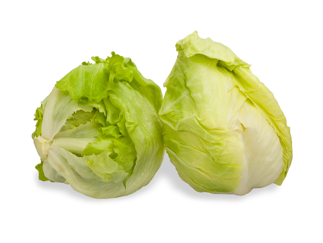 Detail Macam Macam Lettuce Dan Gambarnya Nomer 21