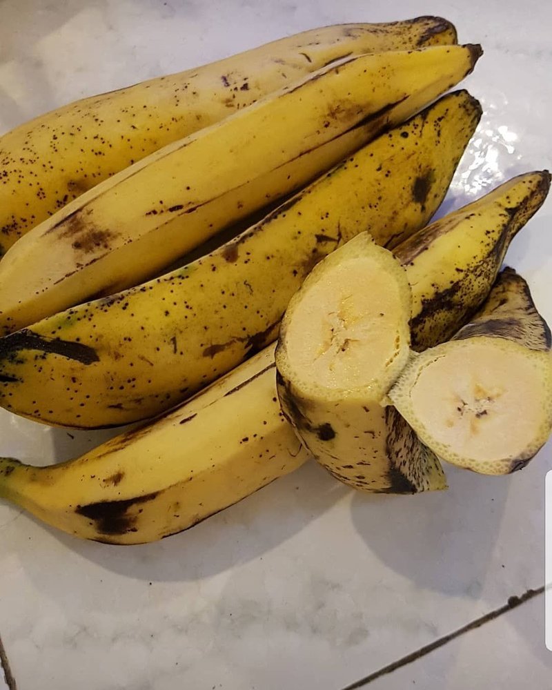 Detail Macam Macam Pisang Dan Gambarnya Koleksi Nomer 44