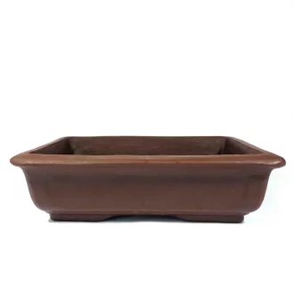 Detail Macam Macam Pot Bonsai Nomer 30