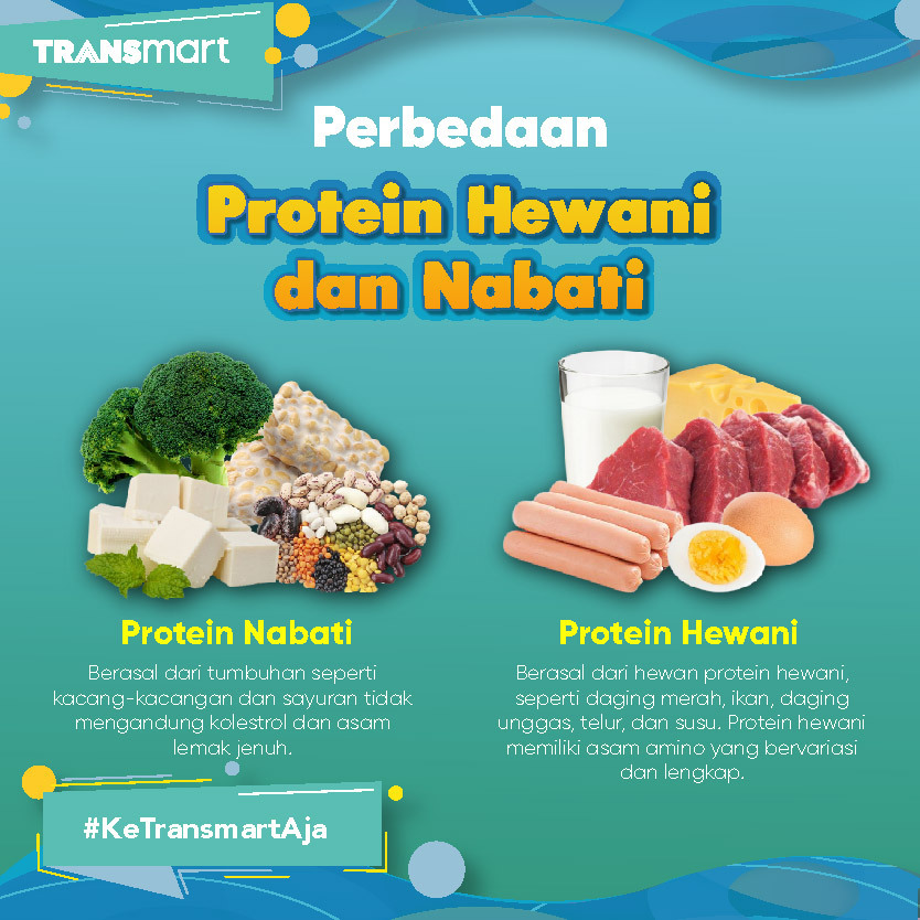 Detail Macam Macam Protein Hewani Nomer 52