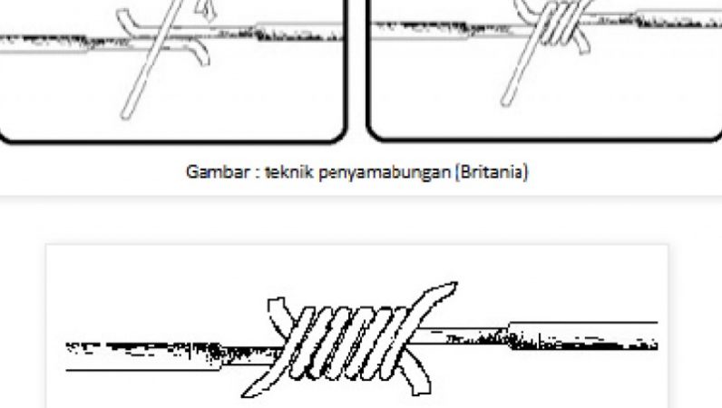 Detail Macam Macam Sambungan Kabel Dan Gambarnya Nomer 10