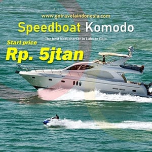 Detail Macam Macam Speed Boat Nomer 40