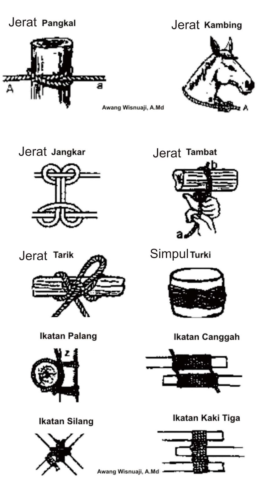 Detail Macam Macam Tali Temali Nomer 49