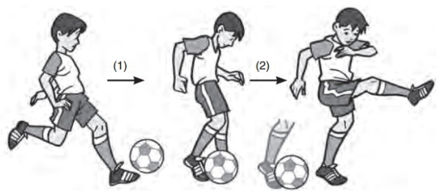 Detail Macam Tendangan Sepak Bola Nomer 12