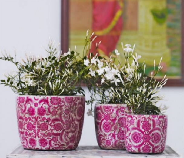 Detail Macam2 Pot Bunga Nomer 31