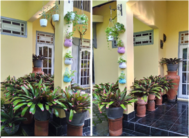 Detail Macam2 Pot Bunga Nomer 40