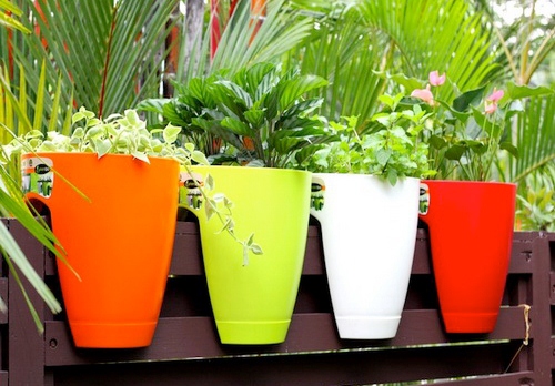 Detail Macam2 Pot Bunga Nomer 41