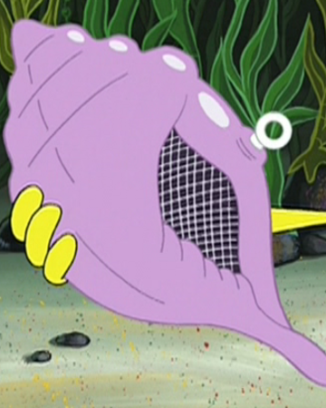 Magic Conch Shell - KibrisPDR