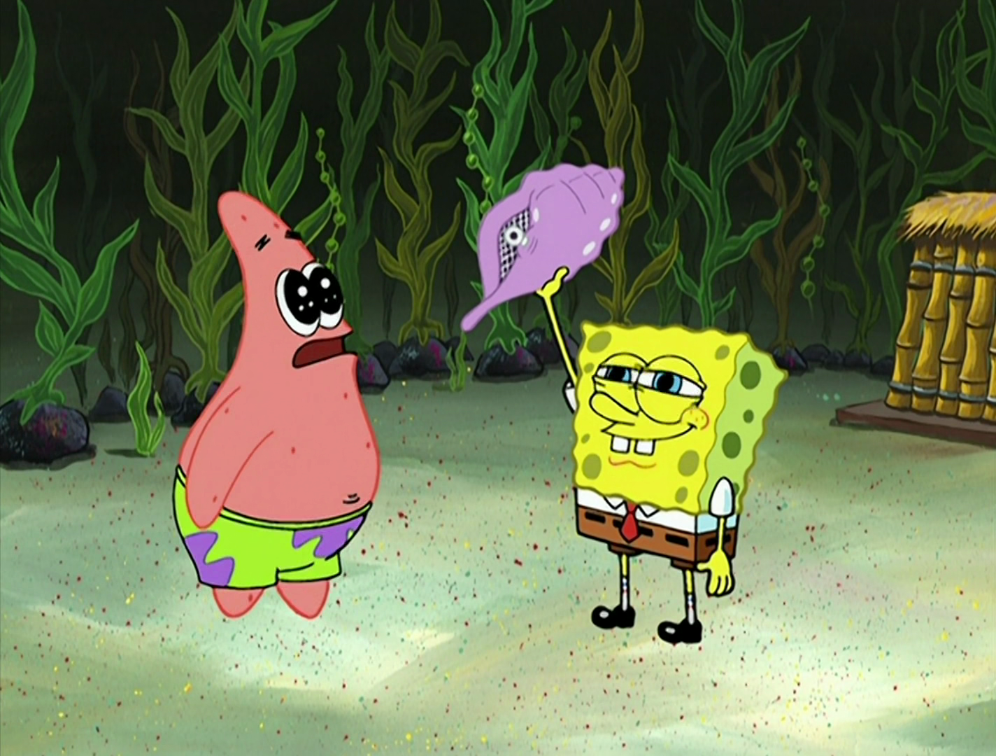 Detail Magic Conch Shell Nomer 12