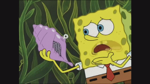 Detail Magic Conch Shell Nomer 19
