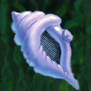 Detail Magic Conch Shell Nomer 23