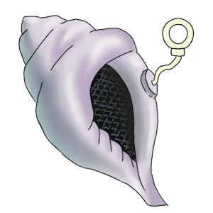 Detail Magic Conch Shell Nomer 28
