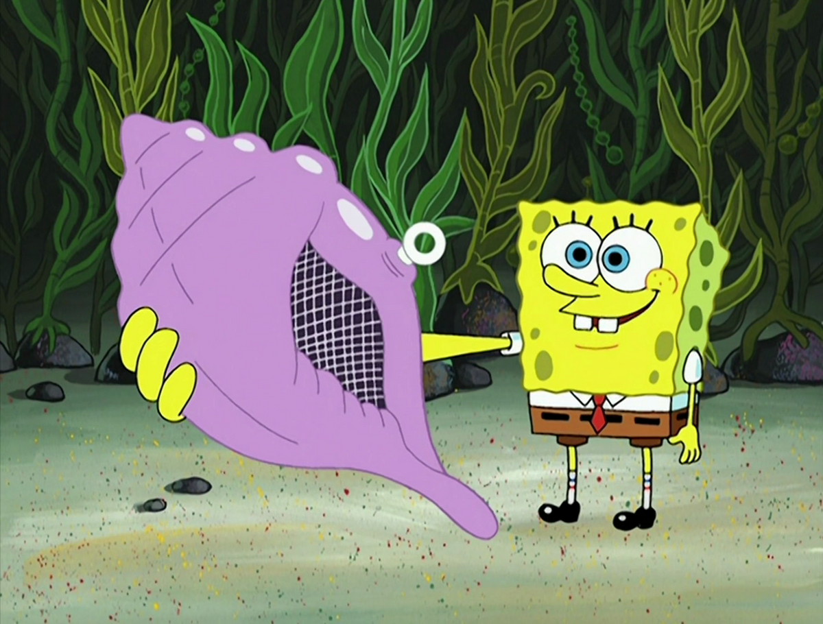 Detail Magic Conch Shell Nomer 7