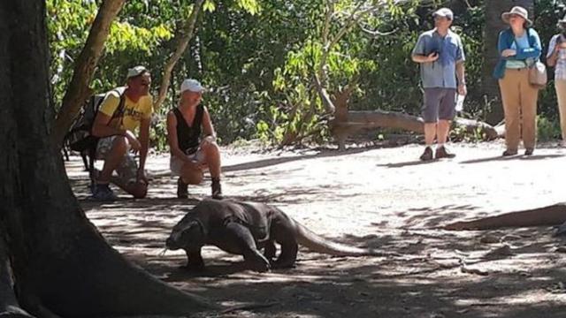 Detail Makalah Pulau Komodo Nomer 24