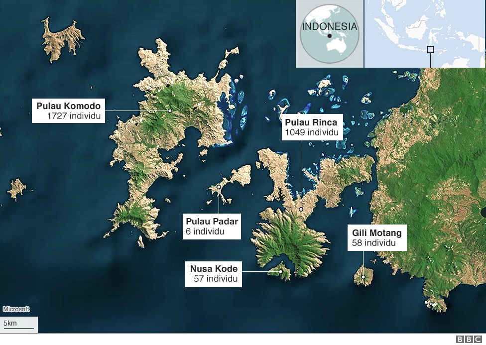 Detail Makalah Pulau Komodo Nomer 32