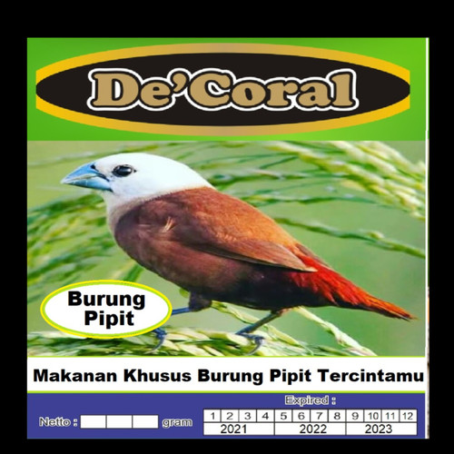 Detail Makanan Burung Pipit Adalah Nomer 40