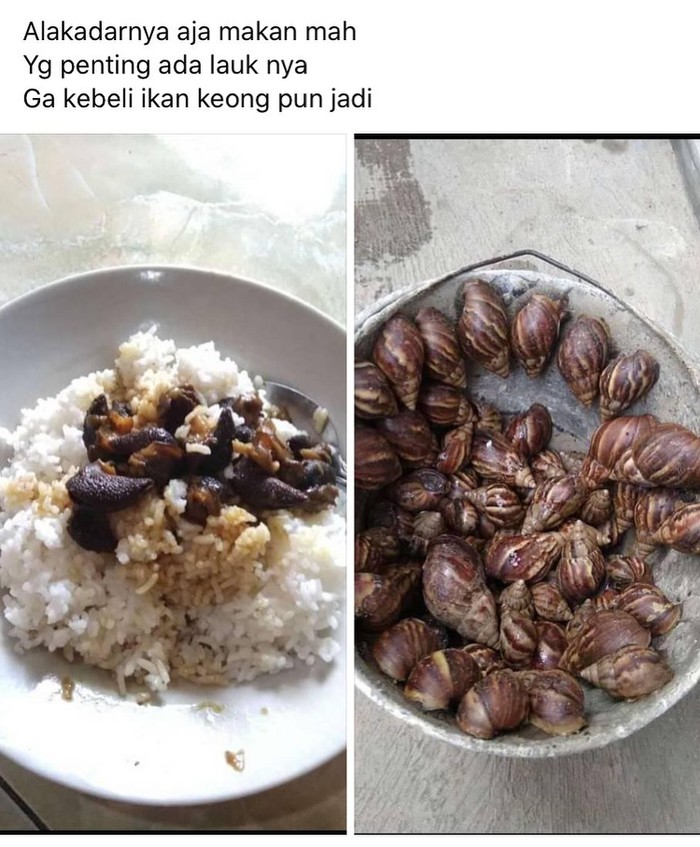 Detail Makanan Siput Adalah Nomer 42