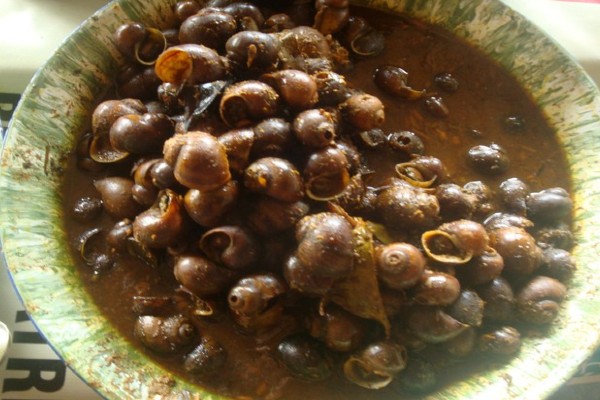 Detail Makanan Siput Adalah Nomer 43