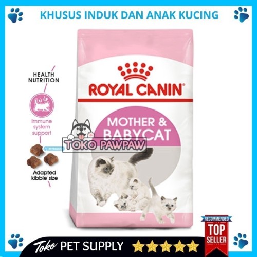 Detail Makanan Untuk Kucing Menyusui Nomer 11