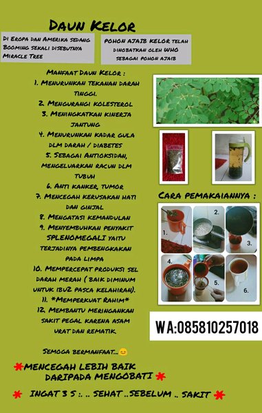 Detail Manfaat Daun Kelor Untuk Rahim Nomer 53