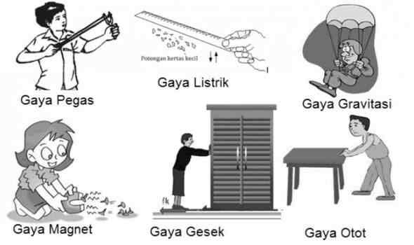 Detail Manfaat Gaya Otot Dan Contoh Kegiatan Nomer 49