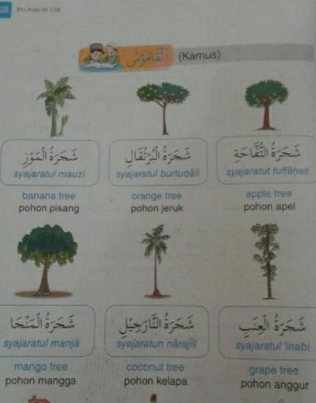 Detail Mangga Bahasa Arab Nomer 21