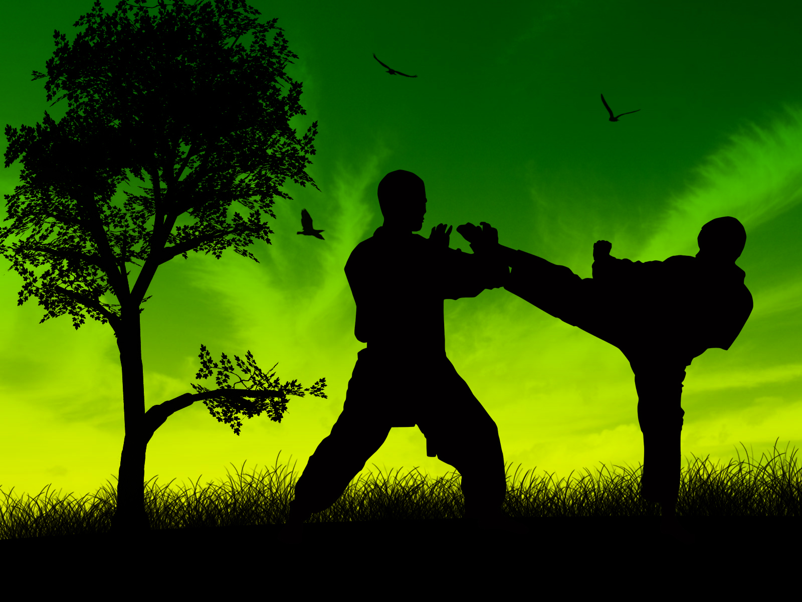 Detail Martial Arts Wallpaper Nomer 13