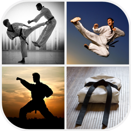 Detail Martial Arts Wallpaper Nomer 16