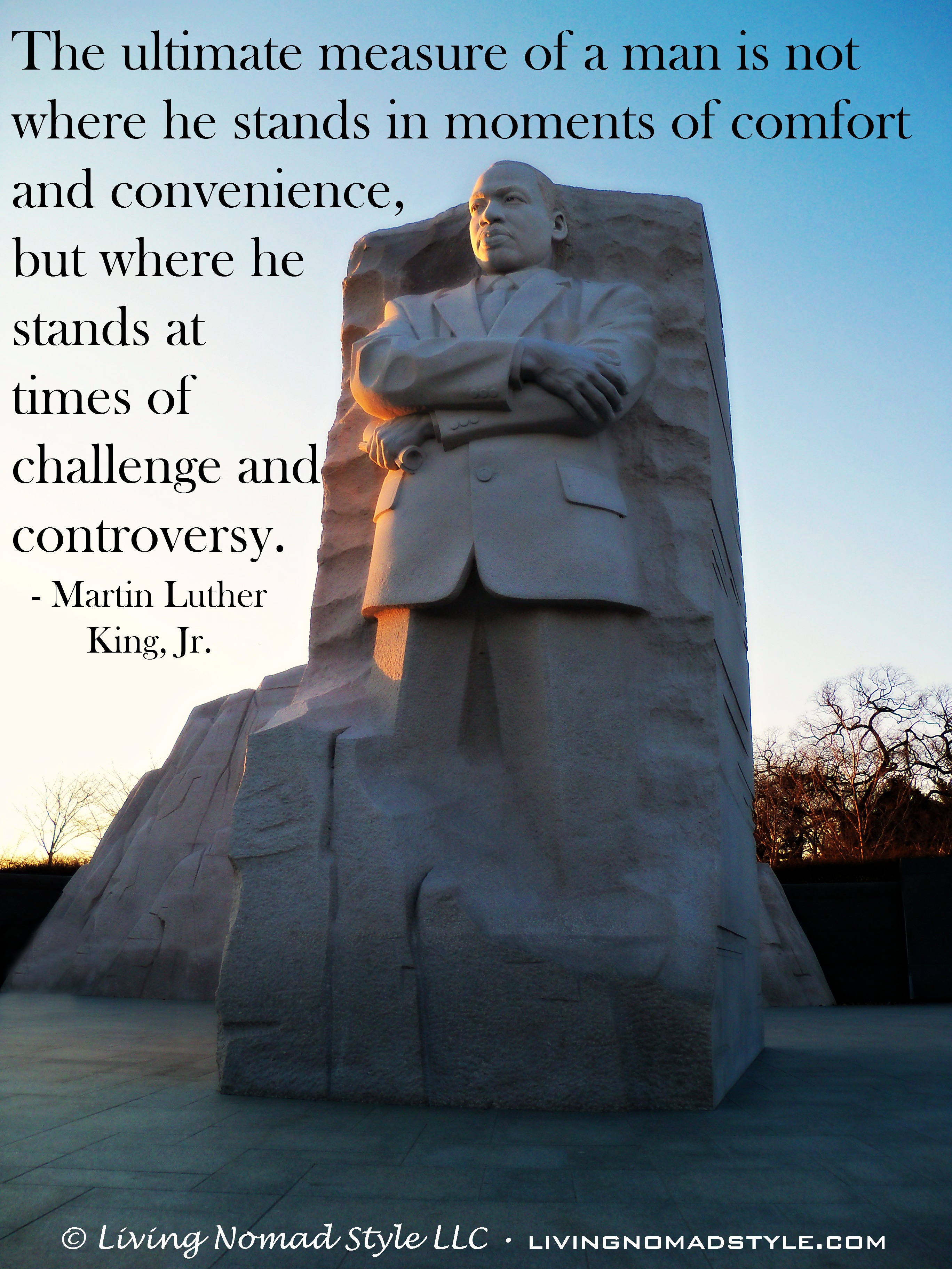 Detail Martin Luther King Quotes The Ultimate Measure Of A Man Nomer 24