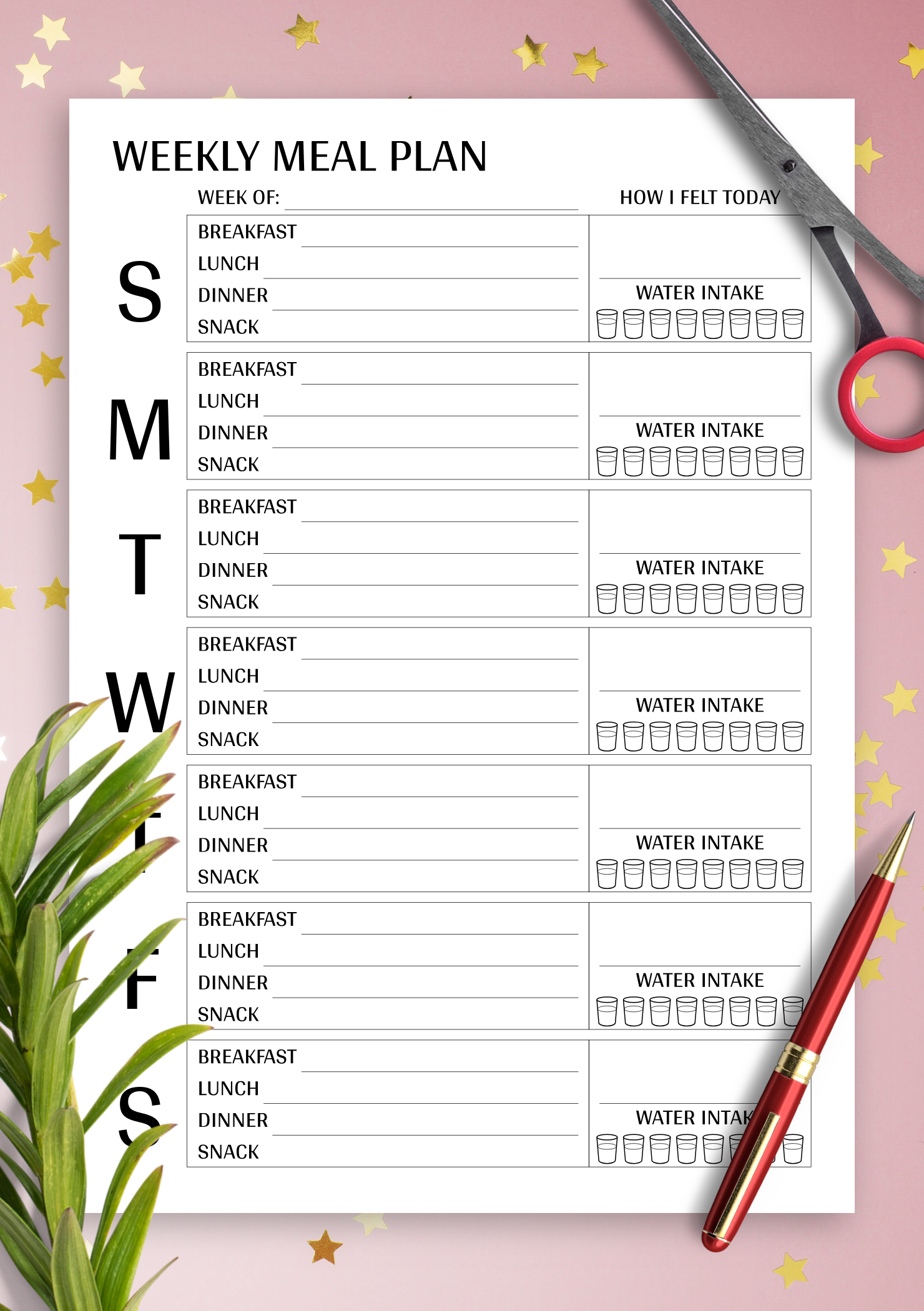 Detail Meal Plan Template Nomer 6