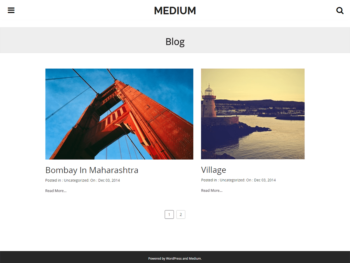 Medium Wordpress Template - KibrisPDR
