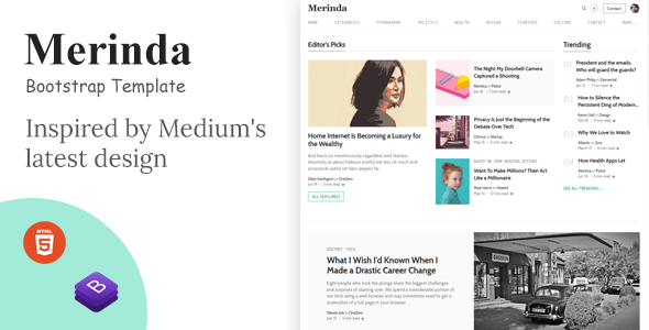 Detail Medium Wordpress Template Nomer 3
