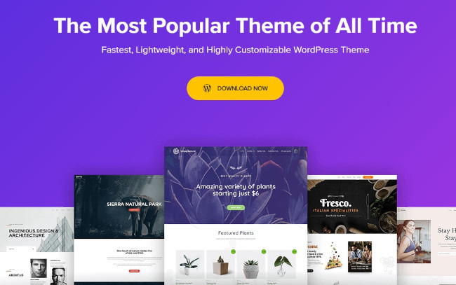 Detail Medium Wordpress Template Nomer 44