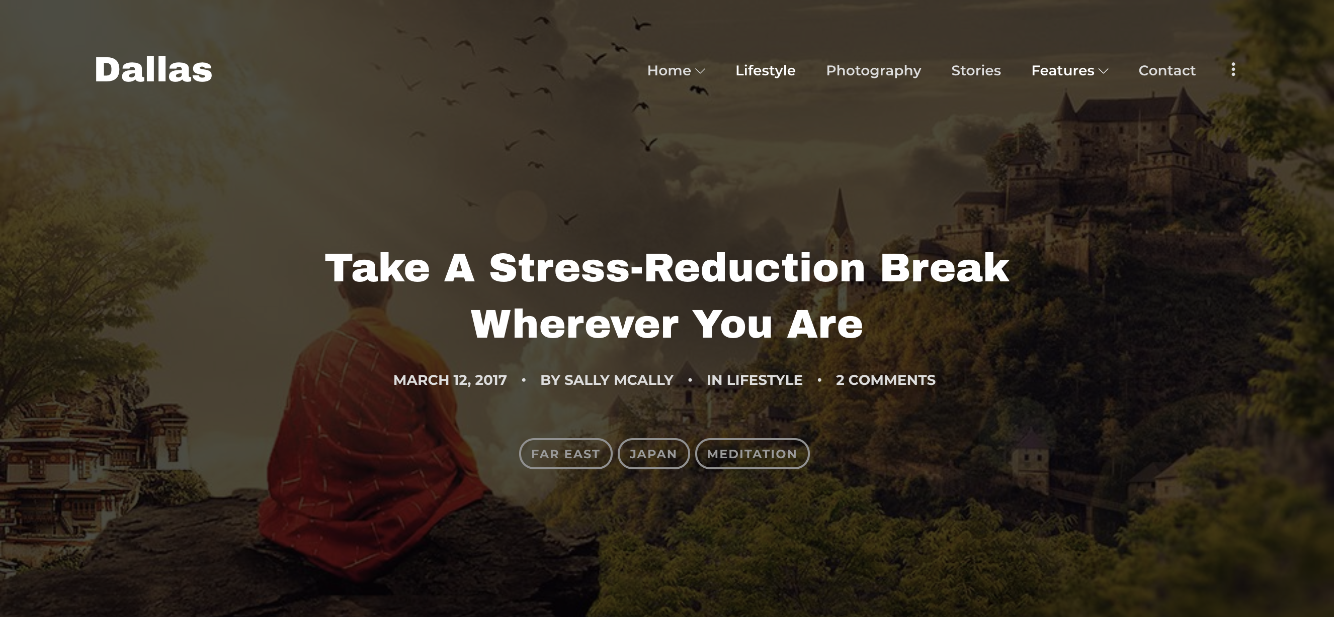 Detail Medium Wordpress Template Nomer 7