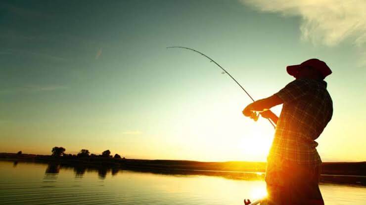 Detail Memancing Dalam Bahasa Inggris Nomer 11