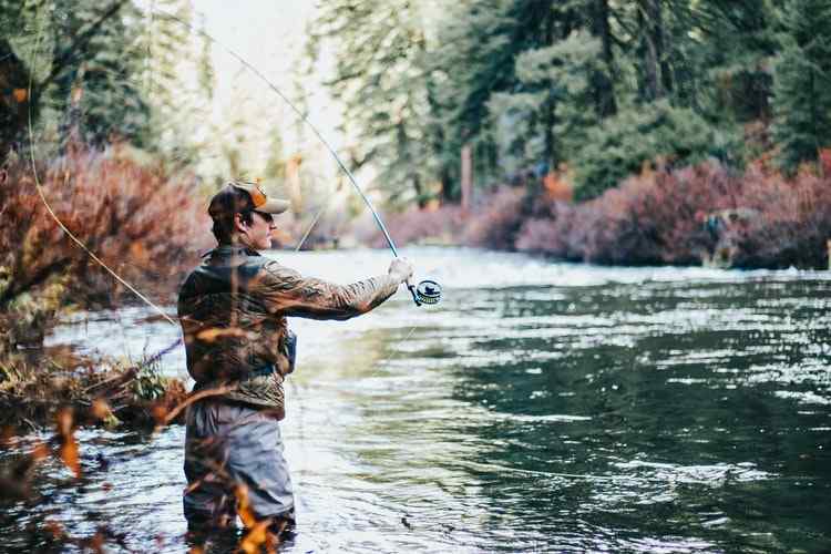 Detail Memancing Dalam Bahasa Inggris Nomer 14