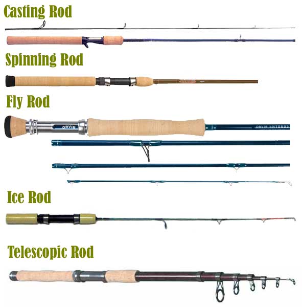 Detail Memancing Dalam Bahasa Inggris Nomer 18
