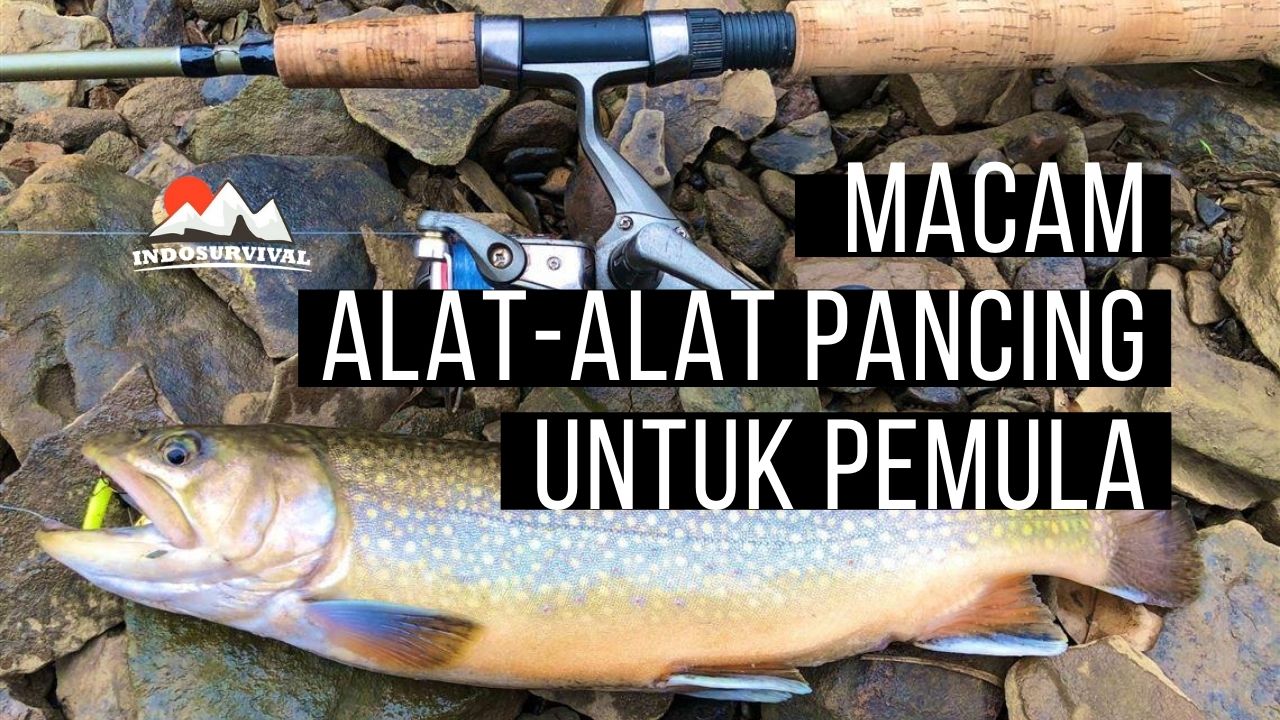 Detail Memancing Dalam Bahasa Inggris Nomer 21