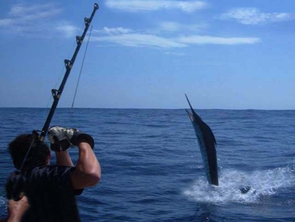 Detail Memancing Dalam Bahasa Inggris Nomer 23
