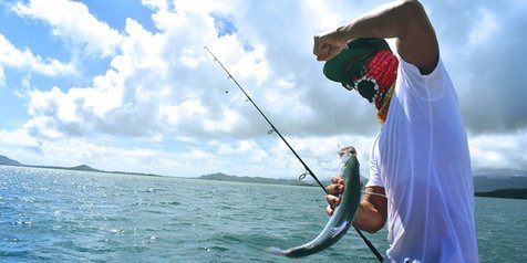 Detail Memancing Dalam Bahasa Inggris Nomer 25