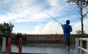 Detail Memancing Dalam Bahasa Inggris Nomer 8
