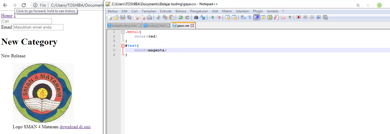 Detail Memasukan Gambar Di Css Nomer 46