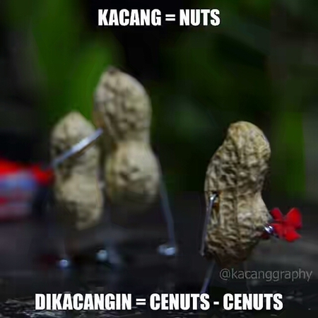 Detail Meme Bahasa Inggris Nomer 27