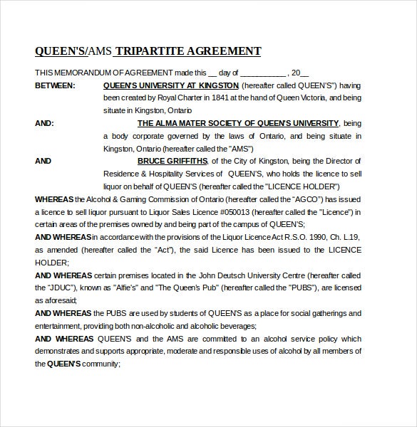 Detail Memorandum Of Understanding Template Word Nomer 24