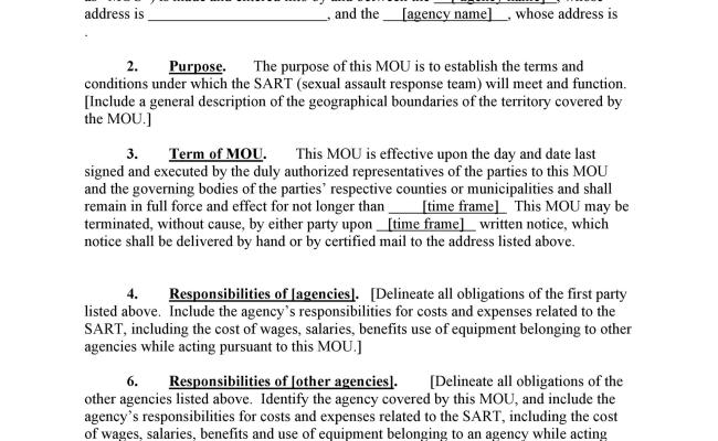 Detail Memorandum Of Understanding Template Word Nomer 44