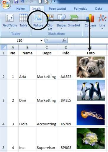 Detail Menampilkan Gambar D Excel Nomer 36
